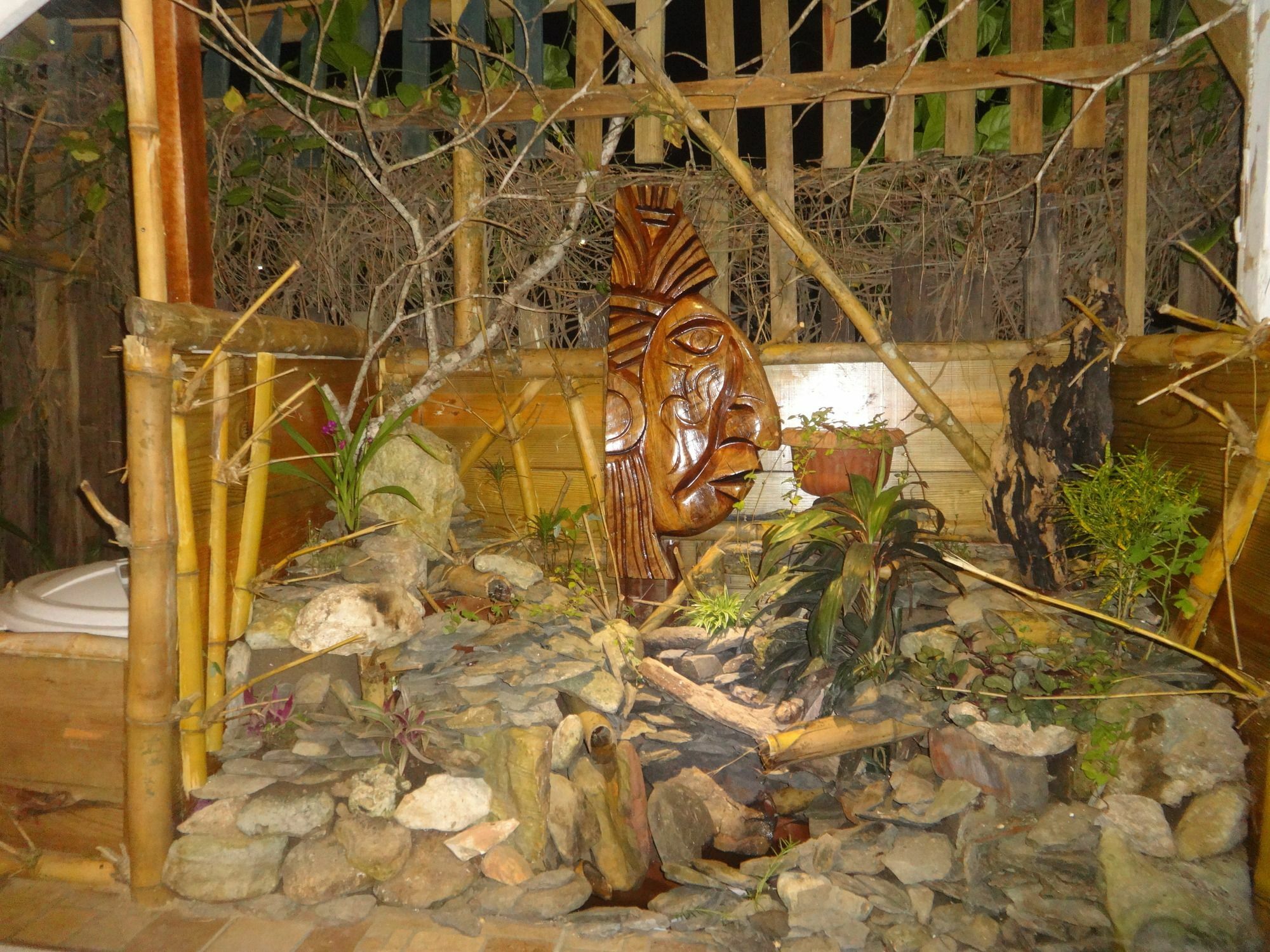 Cocopele Inn San Ignacio Esterno foto